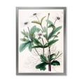 thumbnail image 1 of Designart 'Ancient Plant Life XXI' Traditional Framed Art Print, 1 of 4