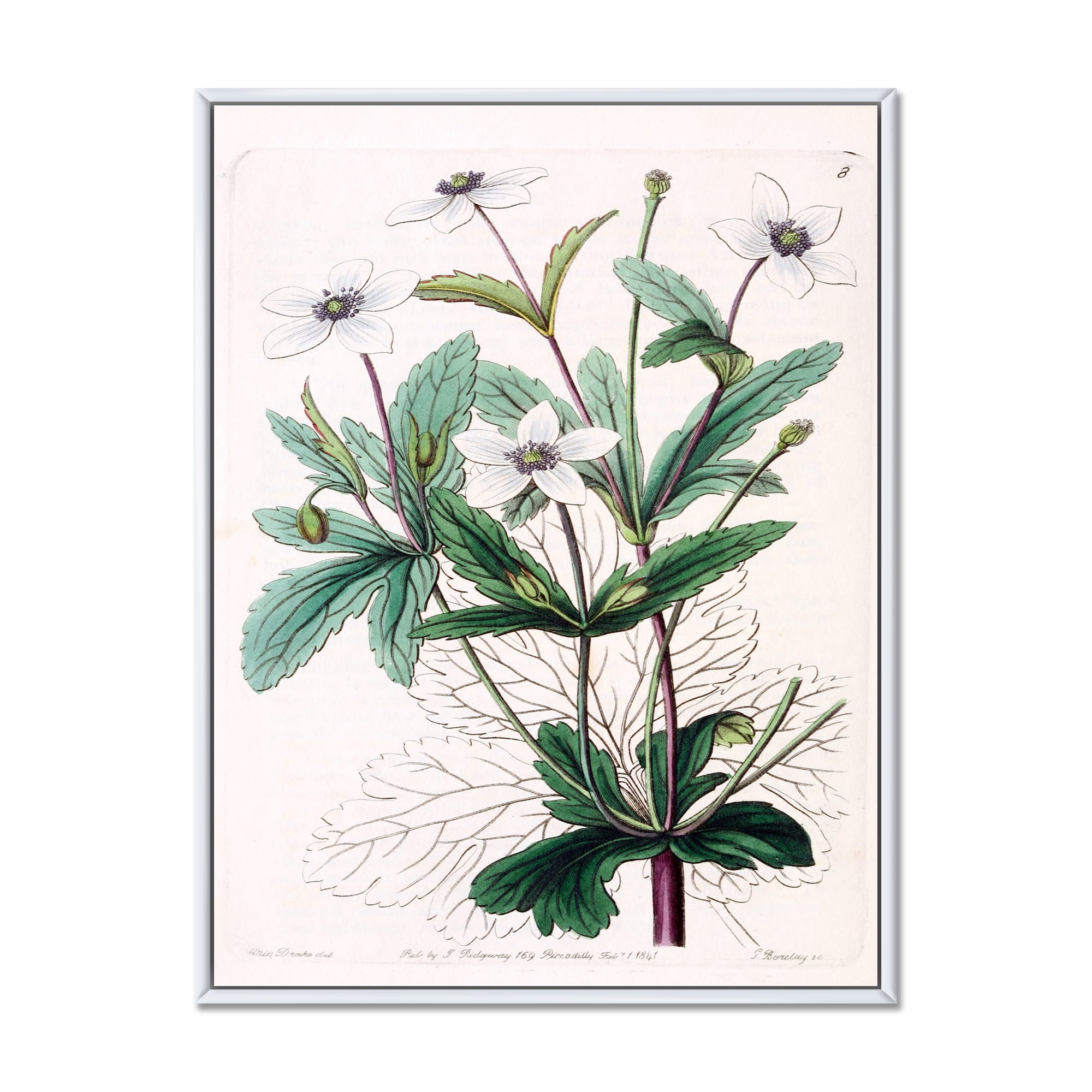 Designart 'Ancient Plant Life XXI' Traditional Framed Canvas Wall Art Print