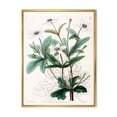thumbnail image 1 of Designart 'Ancient Plant Life XXI' Traditional Framed Canvas Wall Art Print, 1 of 5
