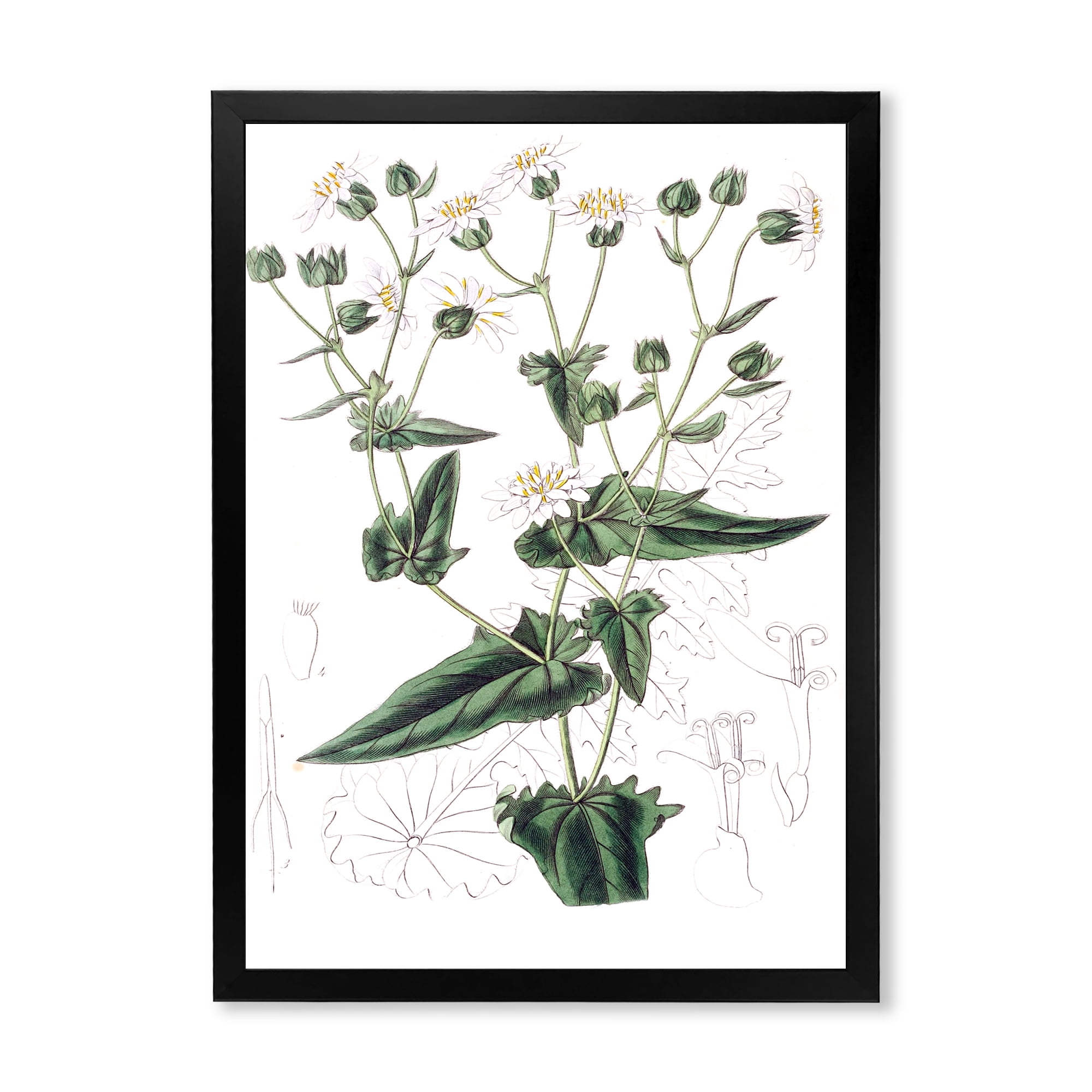 Designart 'Ancient Plant Life XXII' Traditional Framed Art Print