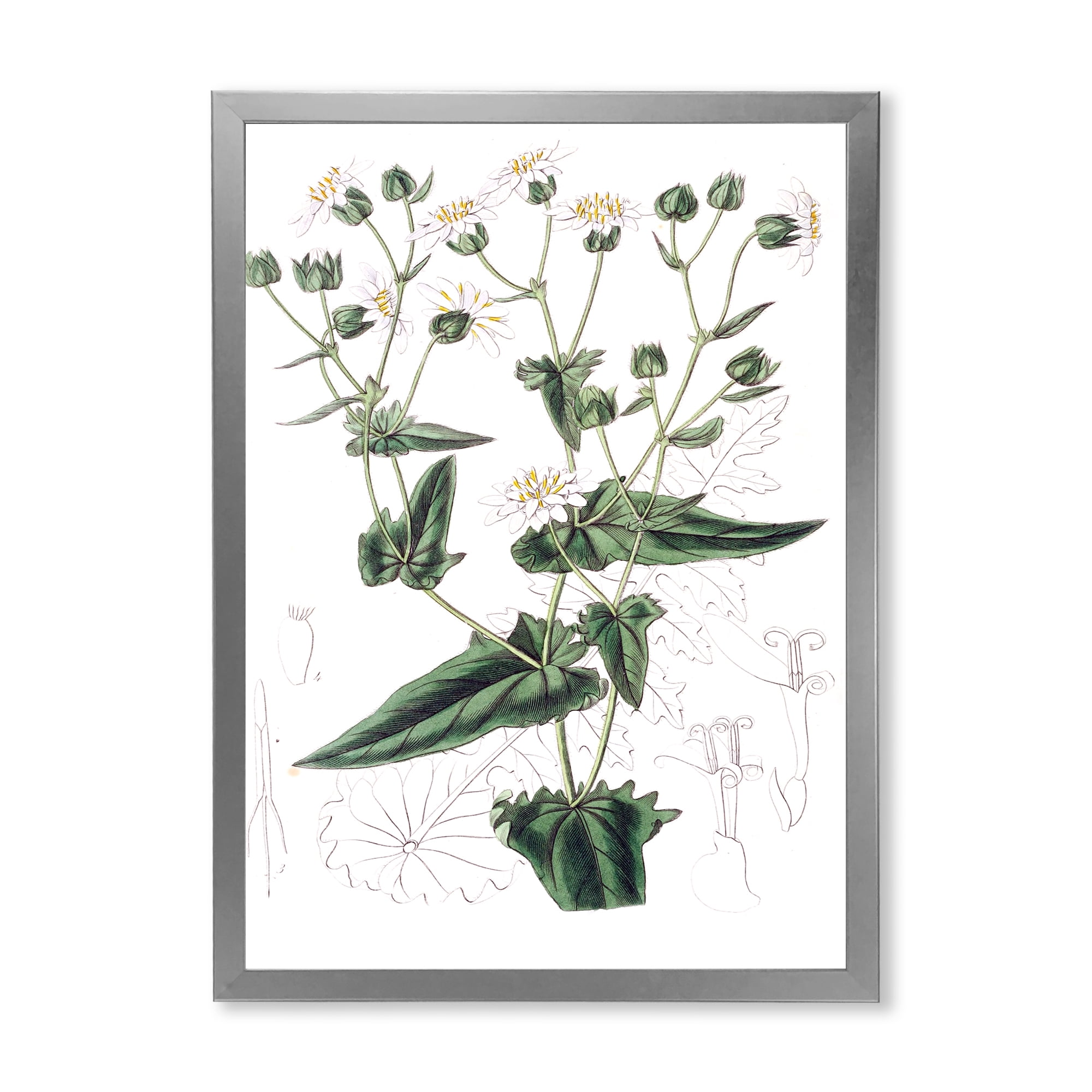 Designart 'Ancient Plant Life XXII' Traditional Framed Art Print