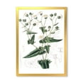 thumbnail image 1 of Designart 'Ancient Plant Life XXII' Traditional Framed Art Print, 1 of 4