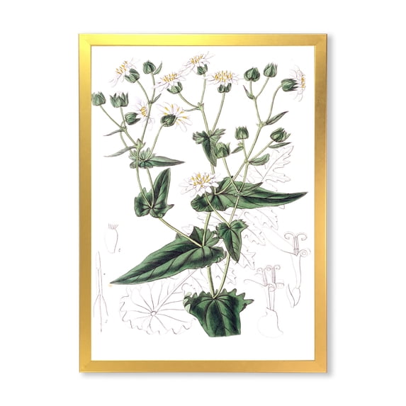 Designart 'Ancient Plant Life XXII' Traditional Framed Art Print