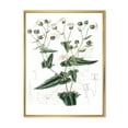 thumbnail image 1 of Designart 'Ancient Plant Life XXII' Traditional Framed Canvas Wall Art Print, 1 of 5