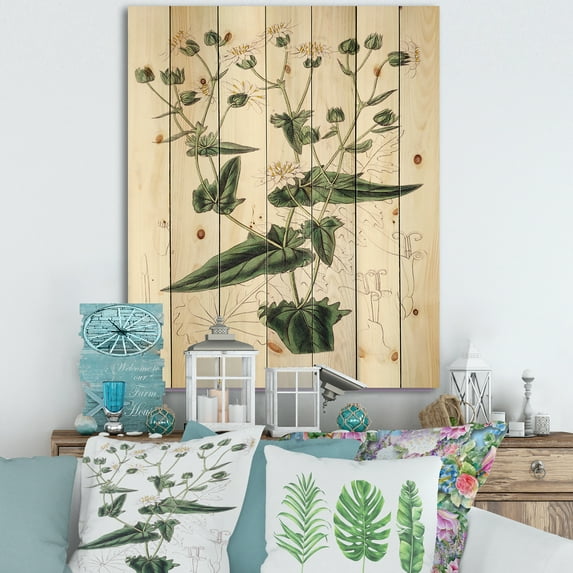 Designart 'Ancient Plant Life XXII' Traditional Print on Natural Pine Wood