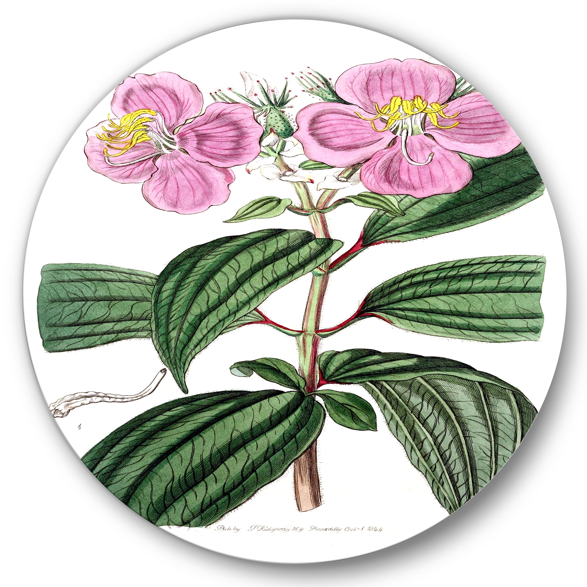 Designart 'Ancient Plant Life XXIII' Traditional Circle Metal Wall Art 11x11 - Disc of 11