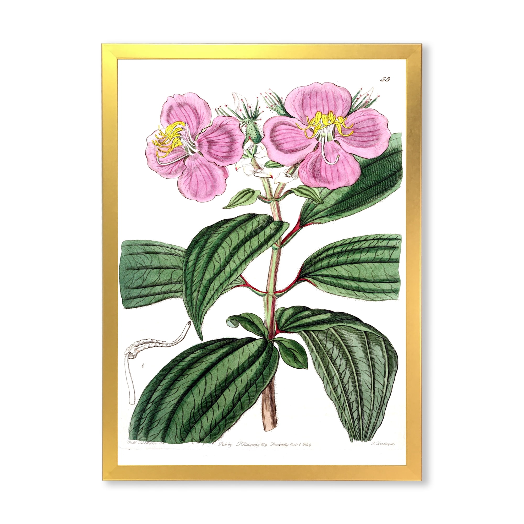 Designart 'Ancient Plant Life XXIII' Traditional Framed Art Print