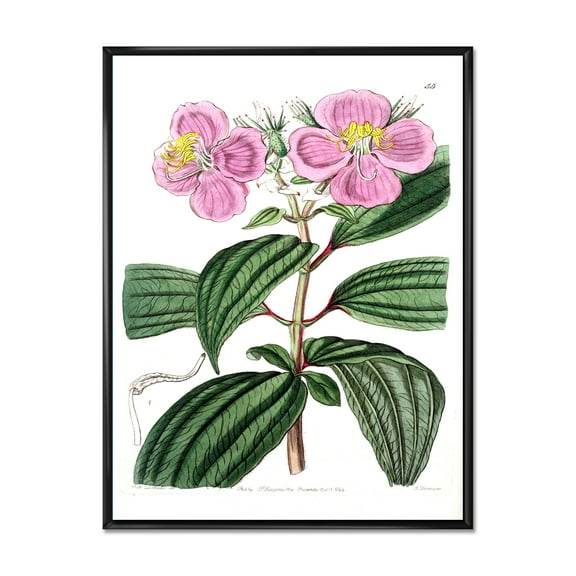 Designart 'Ancient Plant Life XXIII' Traditional Framed Canvas Wall Art Print