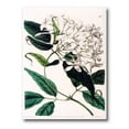 thumbnail image 1 of Designart ' Ancient Plant Life XXIV ' Traditional Canvas Wall Art Print, 1 of 4