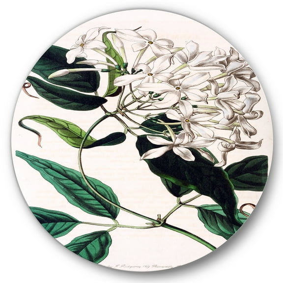 Designart 'Ancient Plant Life XXIV' Traditional Circle Metal Wall Art 36x36 - Disc of 36