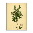 thumbnail image 1 of Designart 'Ancient Plant Life XXV' Traditional Framed Canvas Wall Art Print, 1 of 5