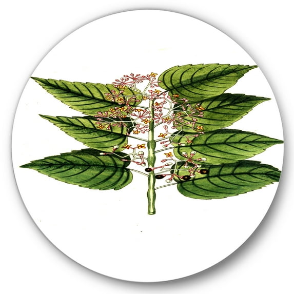 Designart 'Ancient Plant Life XXVI' Traditional Circle Metal Wall Art 11x11 - Disc of 11