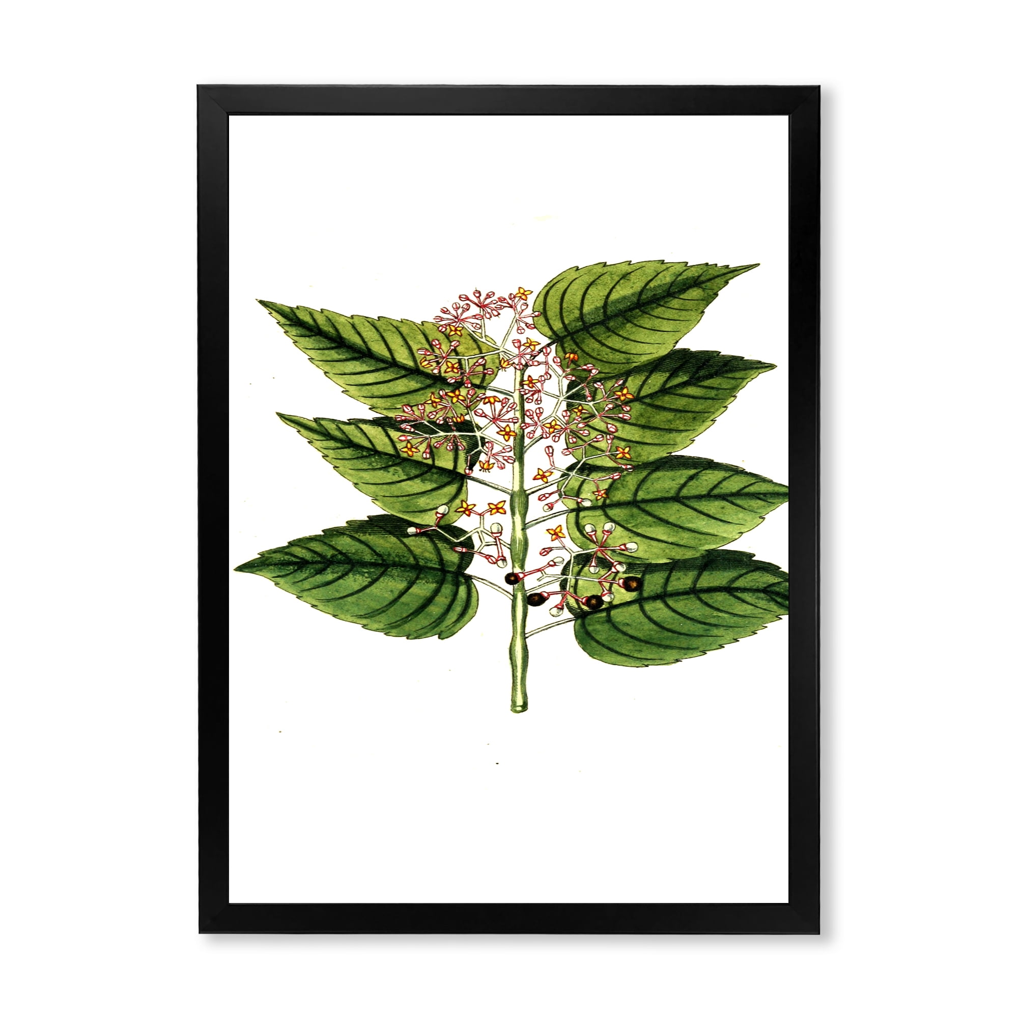 Designart 'Ancient Plant Life XXVI' Traditional Framed Art Print