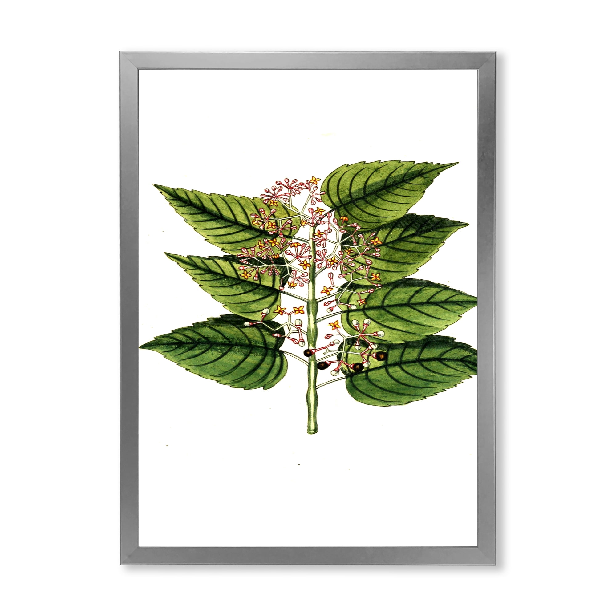 Designart 'Ancient Plant Life XXVI' Traditional Framed Art Print