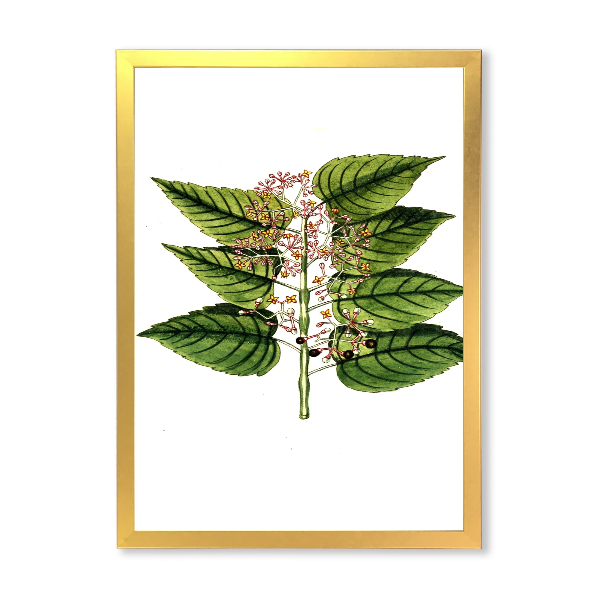 Designart 'Ancient Plant Life XXVI' Traditional Framed Art Print