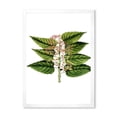 thumbnail image 1 of Designart 'Ancient Plant Life XXVI' Traditional Framed Art Print, 1 of 4