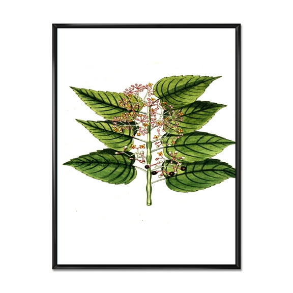 Designart 'Ancient Plant Life XXVI' Traditional Framed Canvas Wall Art Print