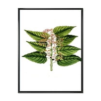 Designart 'Ancient Plant Life XXVI' Traditional Framed Canvas Wall Art Print