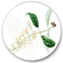 Designart 'Ancient Plant Life XXVII' Traditional Circle Metal Wall Art 36x36 - Disc of 36