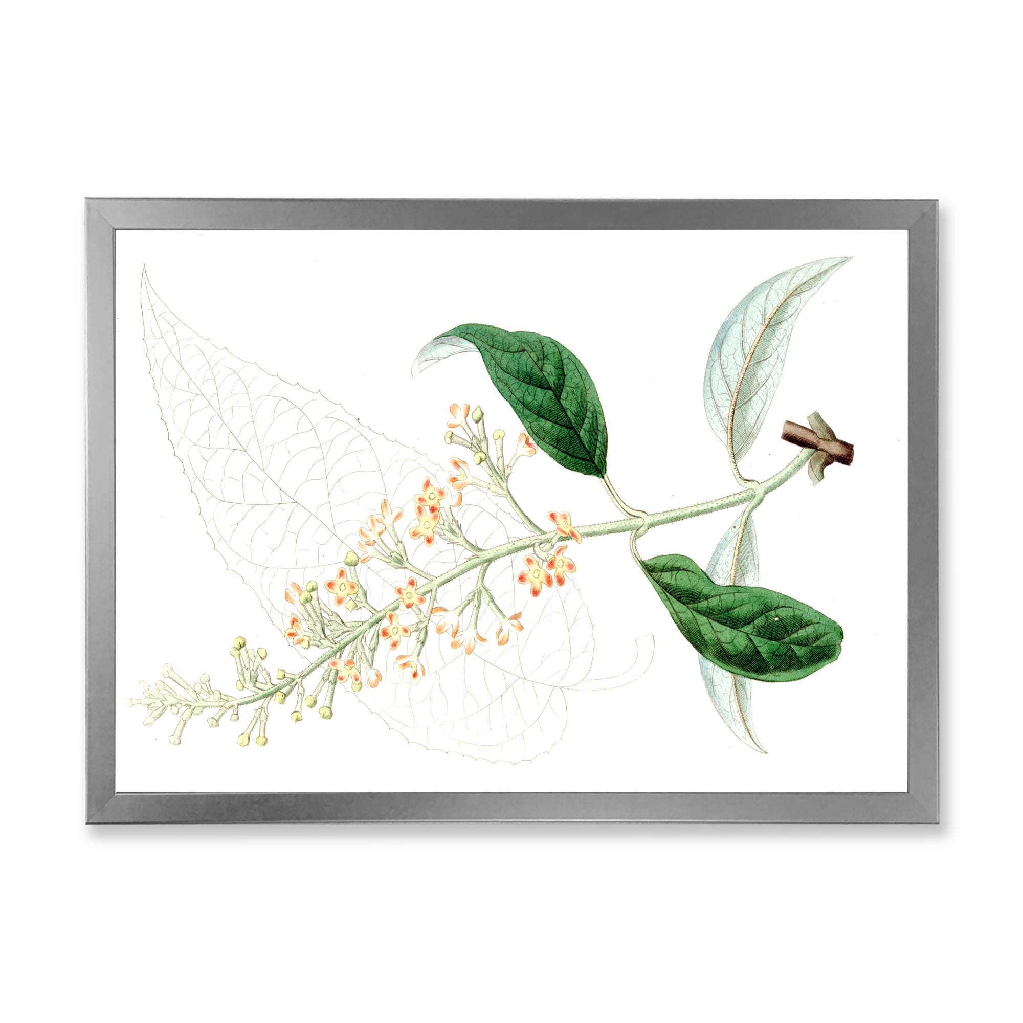 Designart 'Ancient Plant Life XXVII' Traditional Framed Art Print