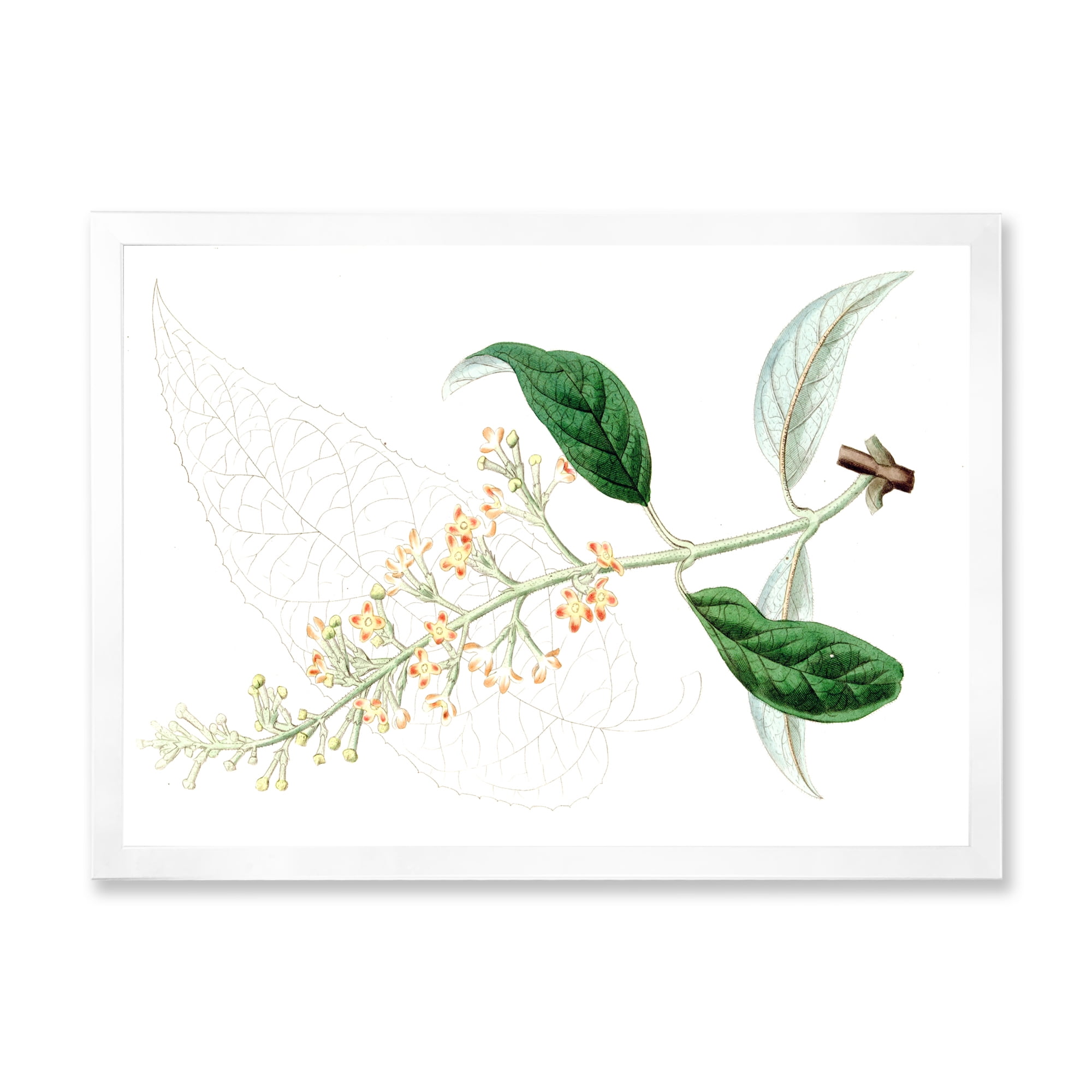 Designart 'Ancient Plant Life XXVII' Traditional Framed Art Print