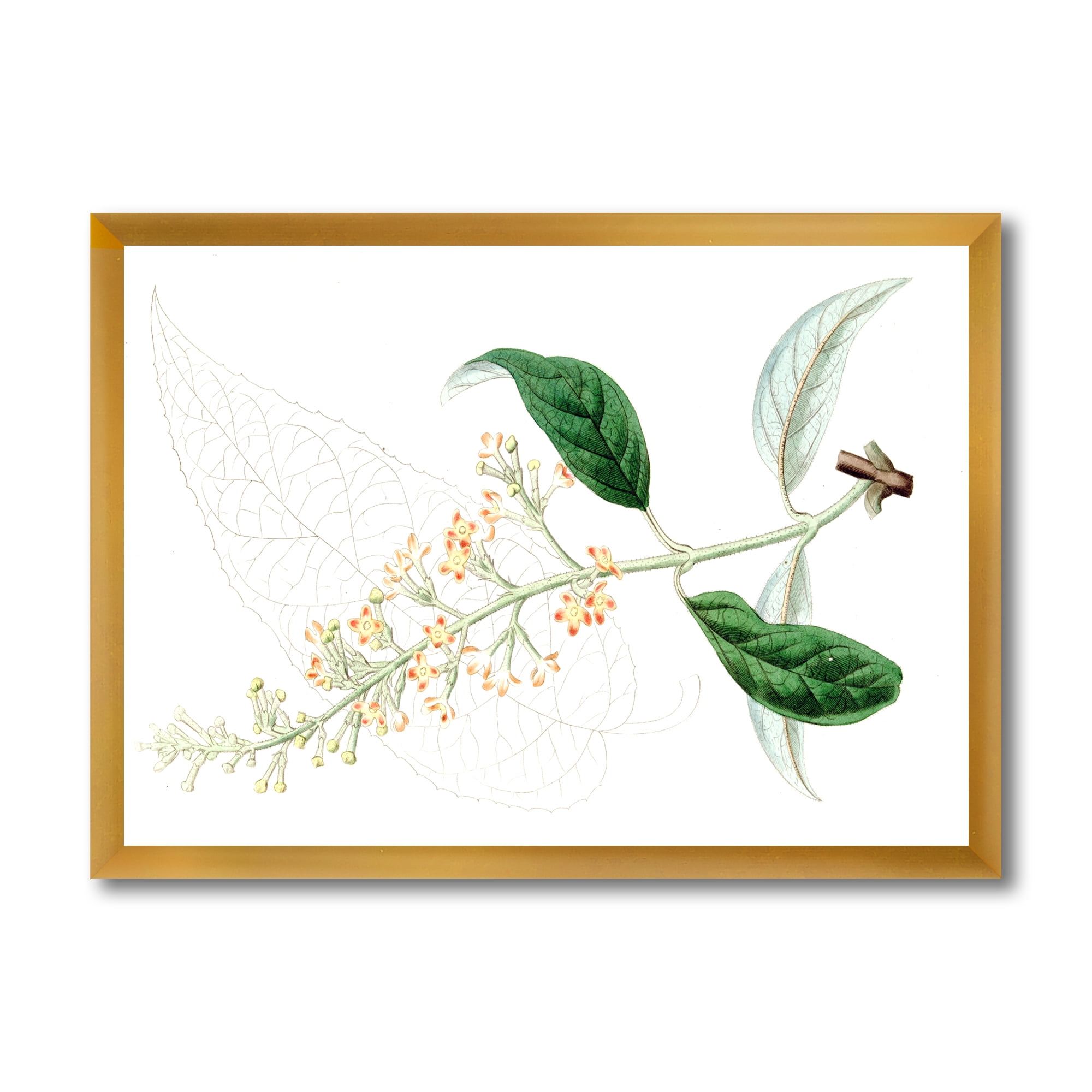 Designart 'Ancient Plant Life XXVII' Traditional Framed Art Print