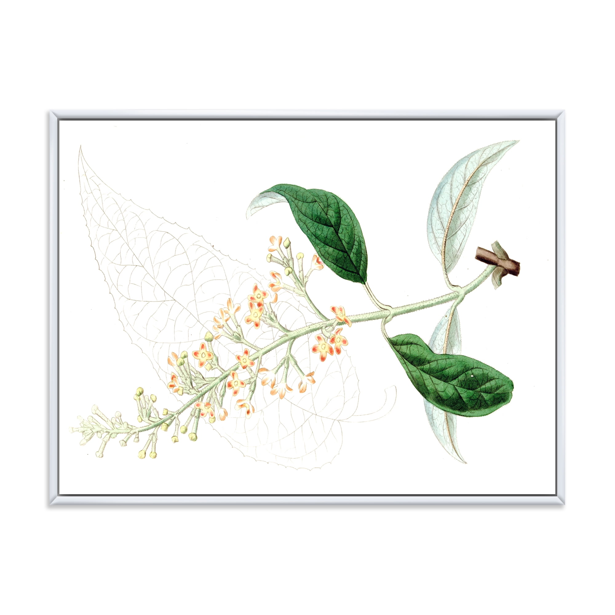 Designart 'Ancient Plant Life XXVII' Traditional Framed Canvas Wall Art Print