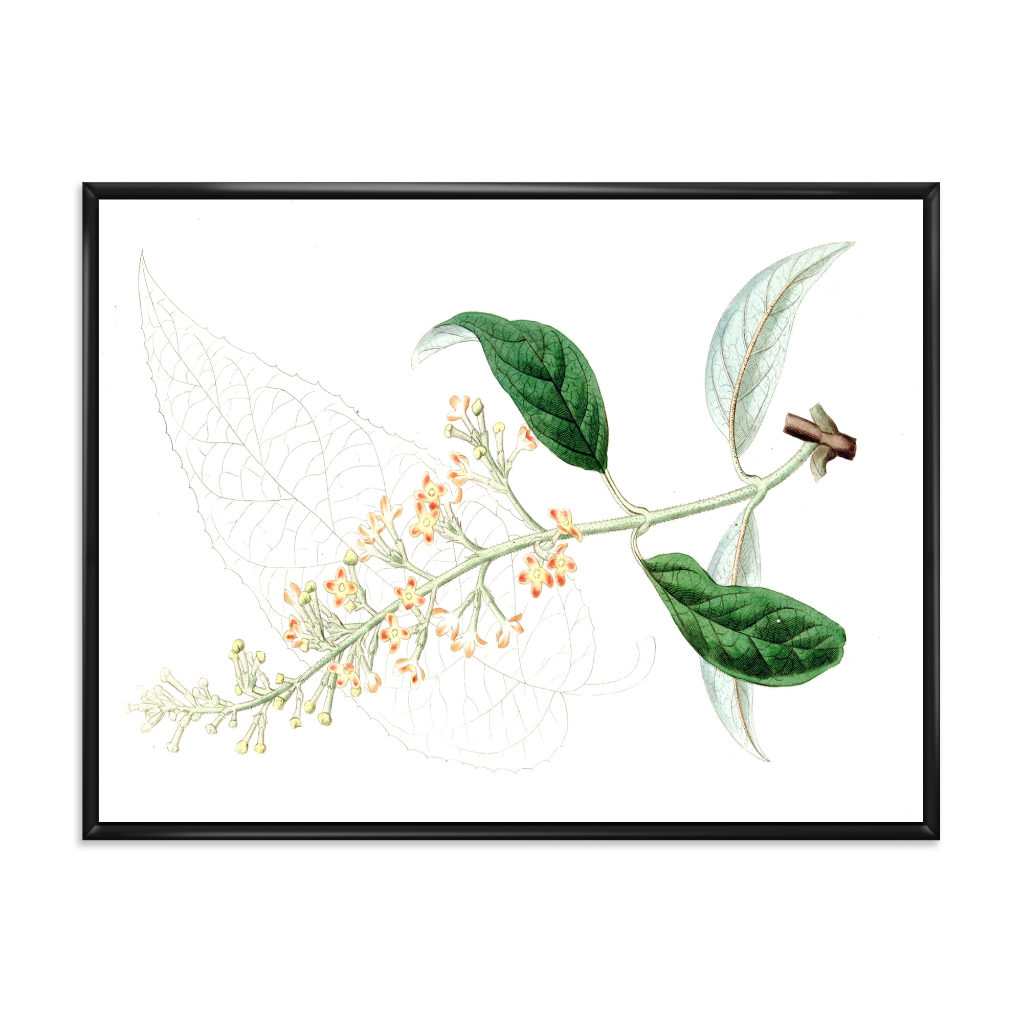 Designart 'Ancient Plant Life XXVII' Traditional Framed Canvas Wall Art Print