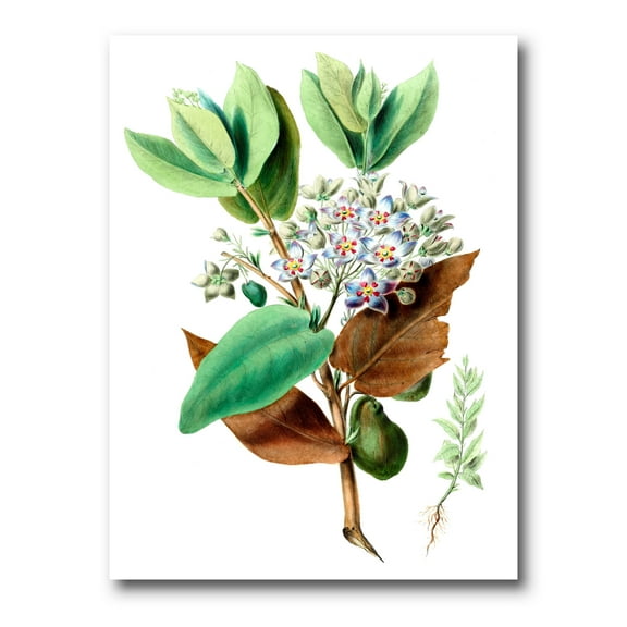 Designart ' Ancient Plant Life XXVIII ' Traditional Canvas Wall Art Print