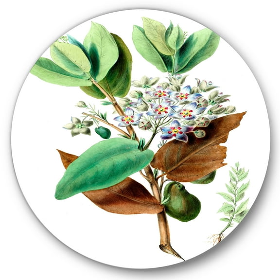 Designart 'Ancient Plant Life XXVIII' Traditional Circle Metal Wall Art 36x36 - Disc of 36