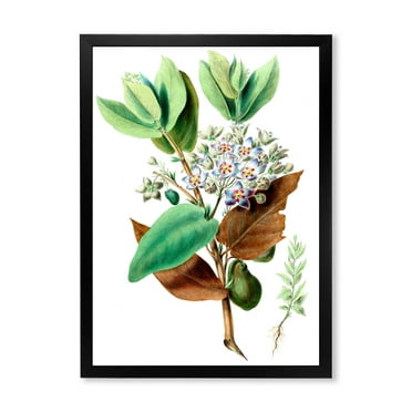 Designart 'Ancient Plant Life XXVIII' Traditional Framed Art Print