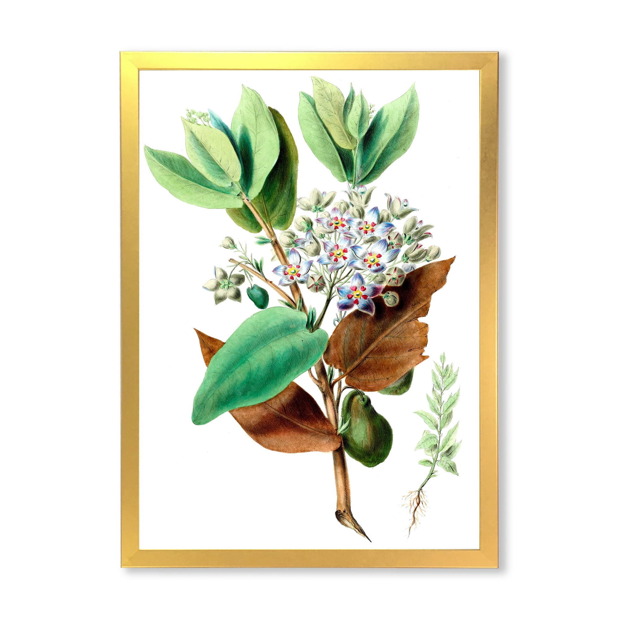 Designart 'Ancient Plant Life XXVIII' Traditional Framed Art Print
