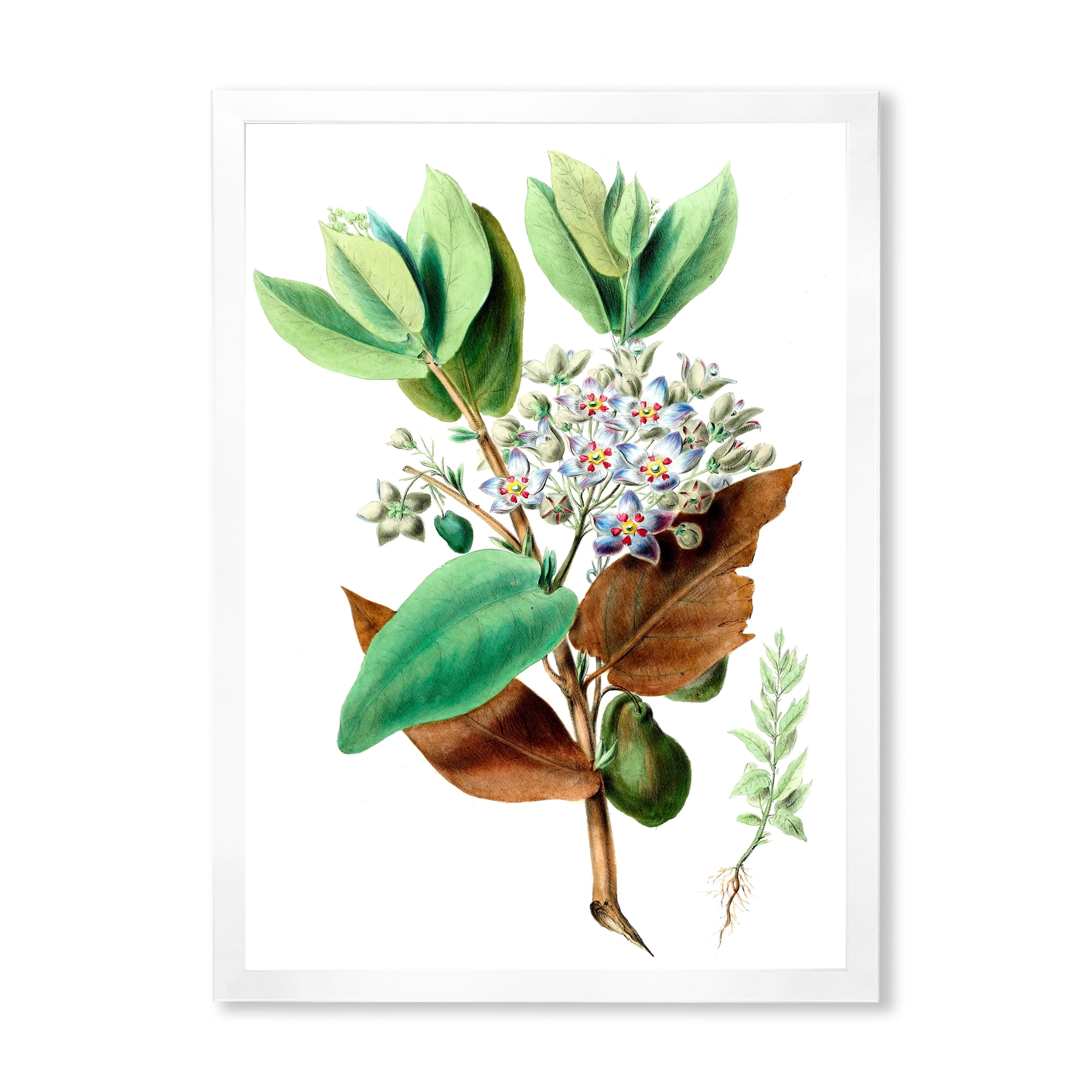 Designart 'Ancient Plant Life XXVIII' Traditional Framed Art Print