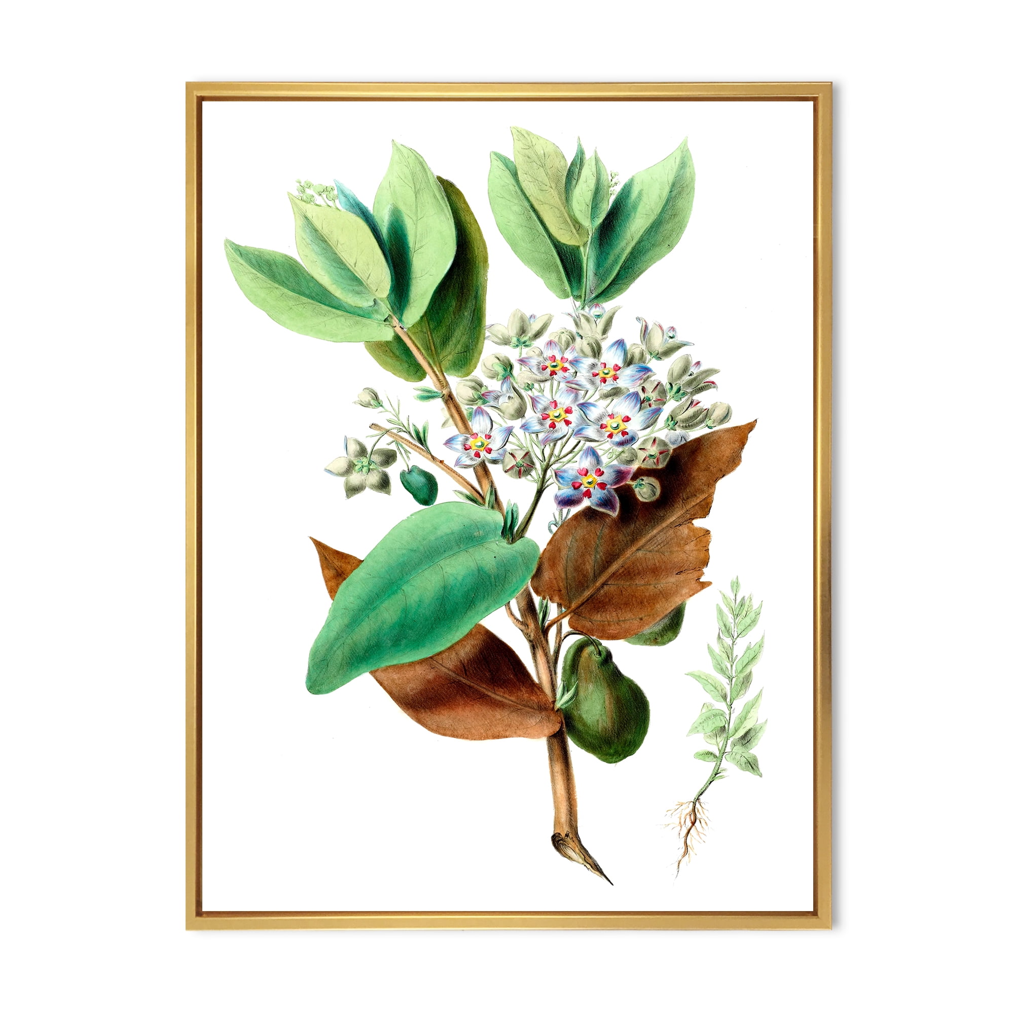 Designart 'Ancient Plant Life XXVIII' Traditional Framed Canvas Wall Art Print