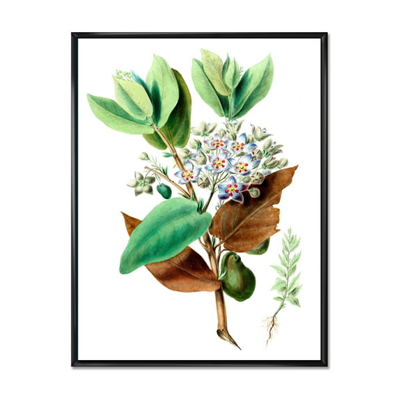 Designart 'Ancient Plant Life XXVIII' Traditional Framed Canvas Wall Art Print