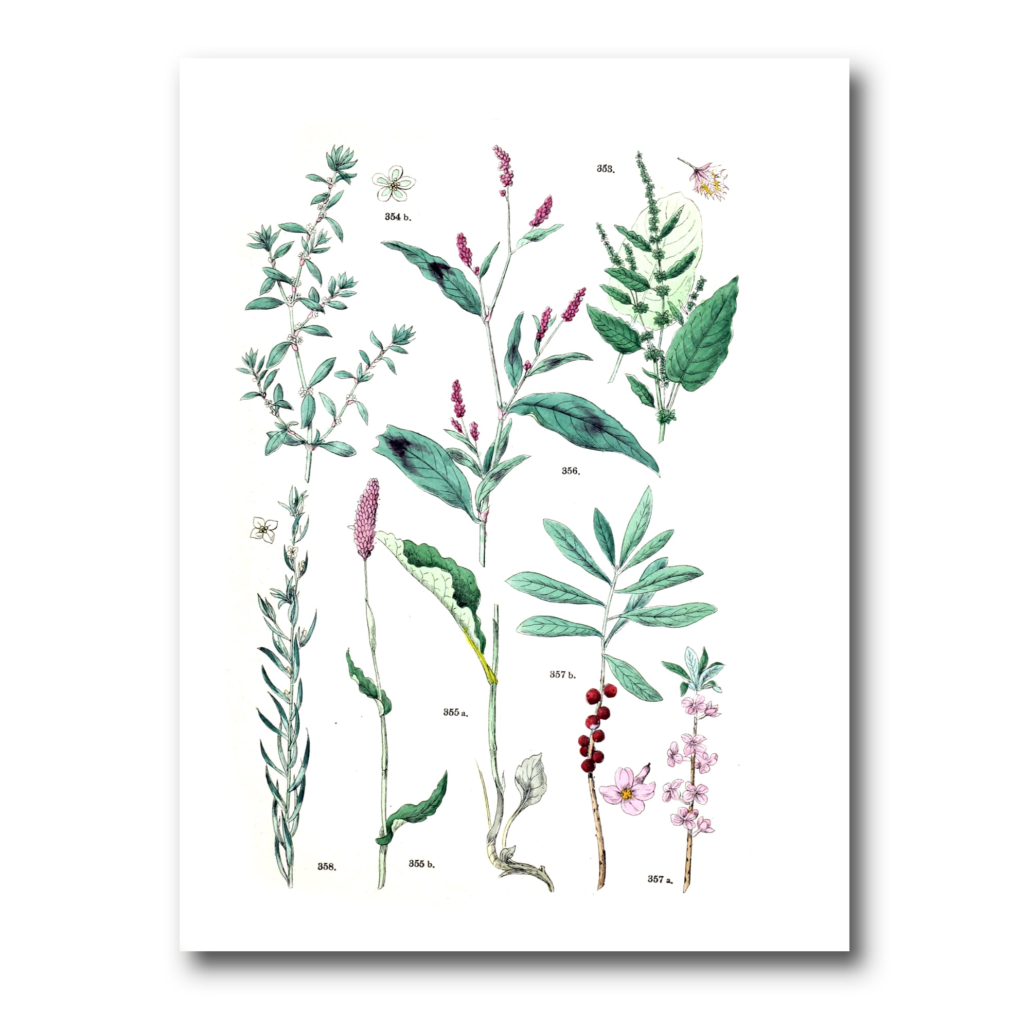 Designart ' Ancient Plants ' Traditional Canvas Wall Art Print
