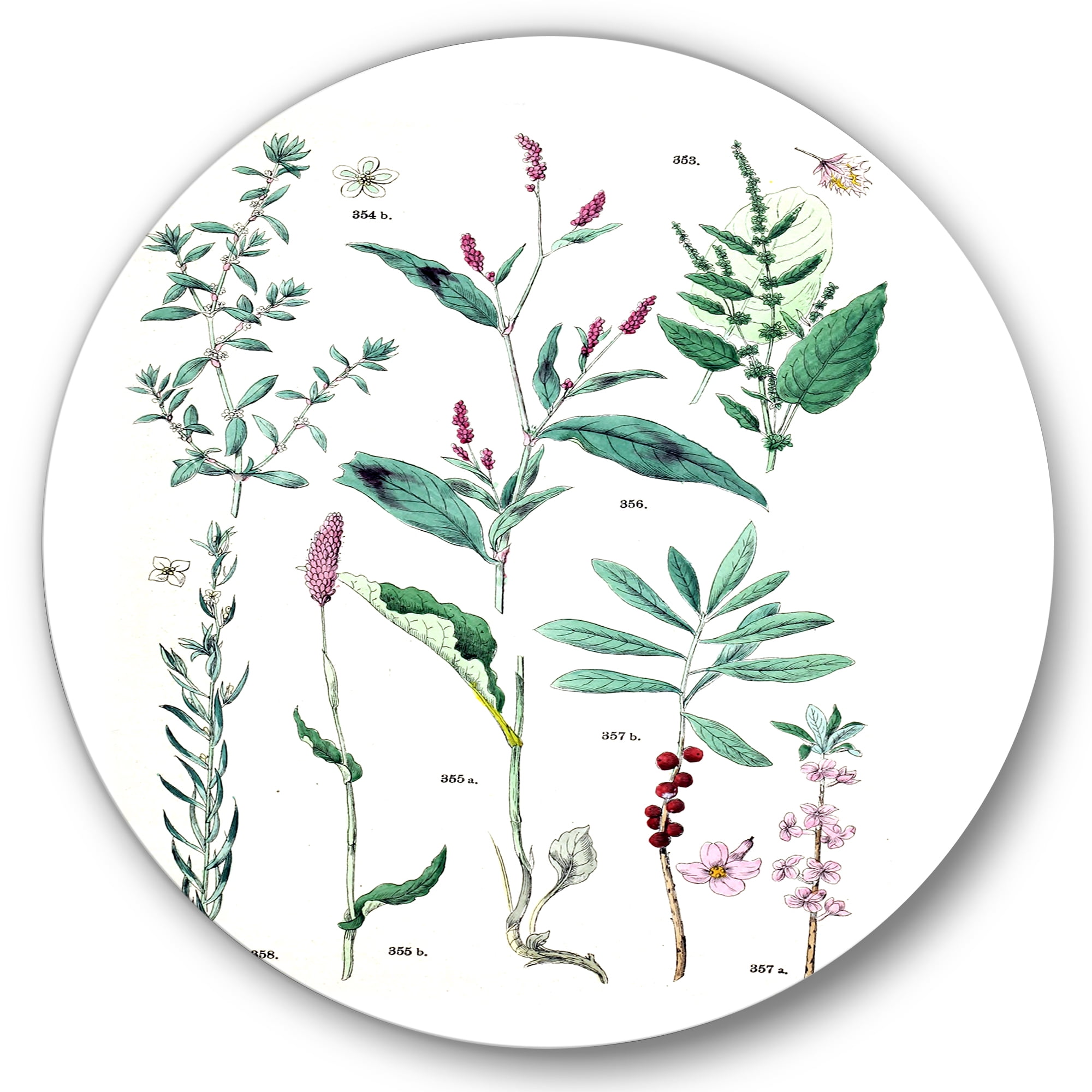 Designart 'Ancient Plants' Traditional Circle Metal Wall Art 29x29 - Disc of 29