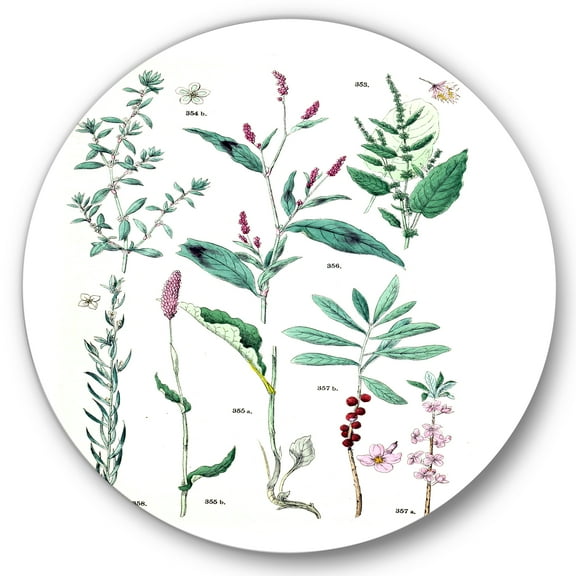 Designart 'Ancient Plants' Traditional Circle Metal Wall Art 36x36 - Disc of 36