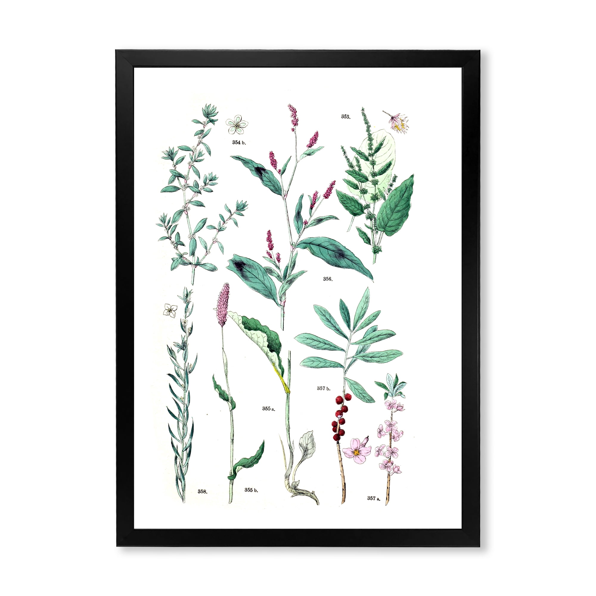 Designart 'Ancient Plants' Traditional Framed Art Print
