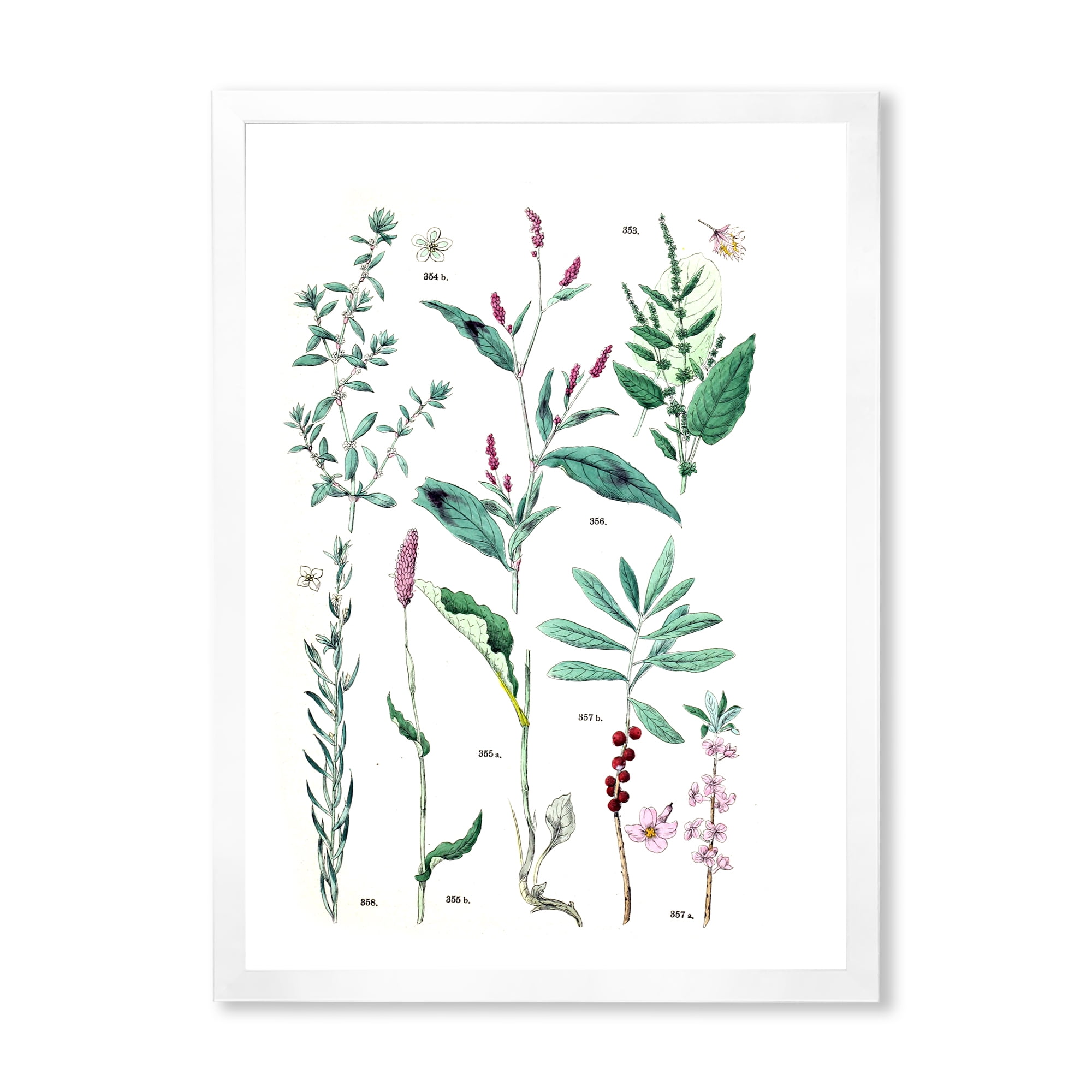 Designart 'Ancient Plants' Traditional Framed Art Print