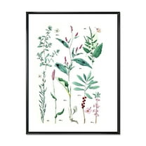 Designart 'Ancient Plants' Traditional Framed Canvas Wall Art Print