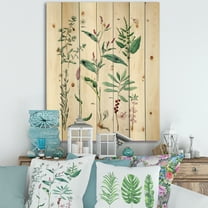 Designart 'Ancient Plants' Traditional Print on Natural Pine Wood
