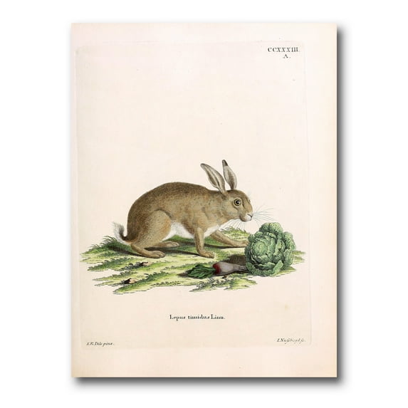 Designart ' Ancient Rabbits In Earth Tones ' Farmhouse Canvas Wall Art Print