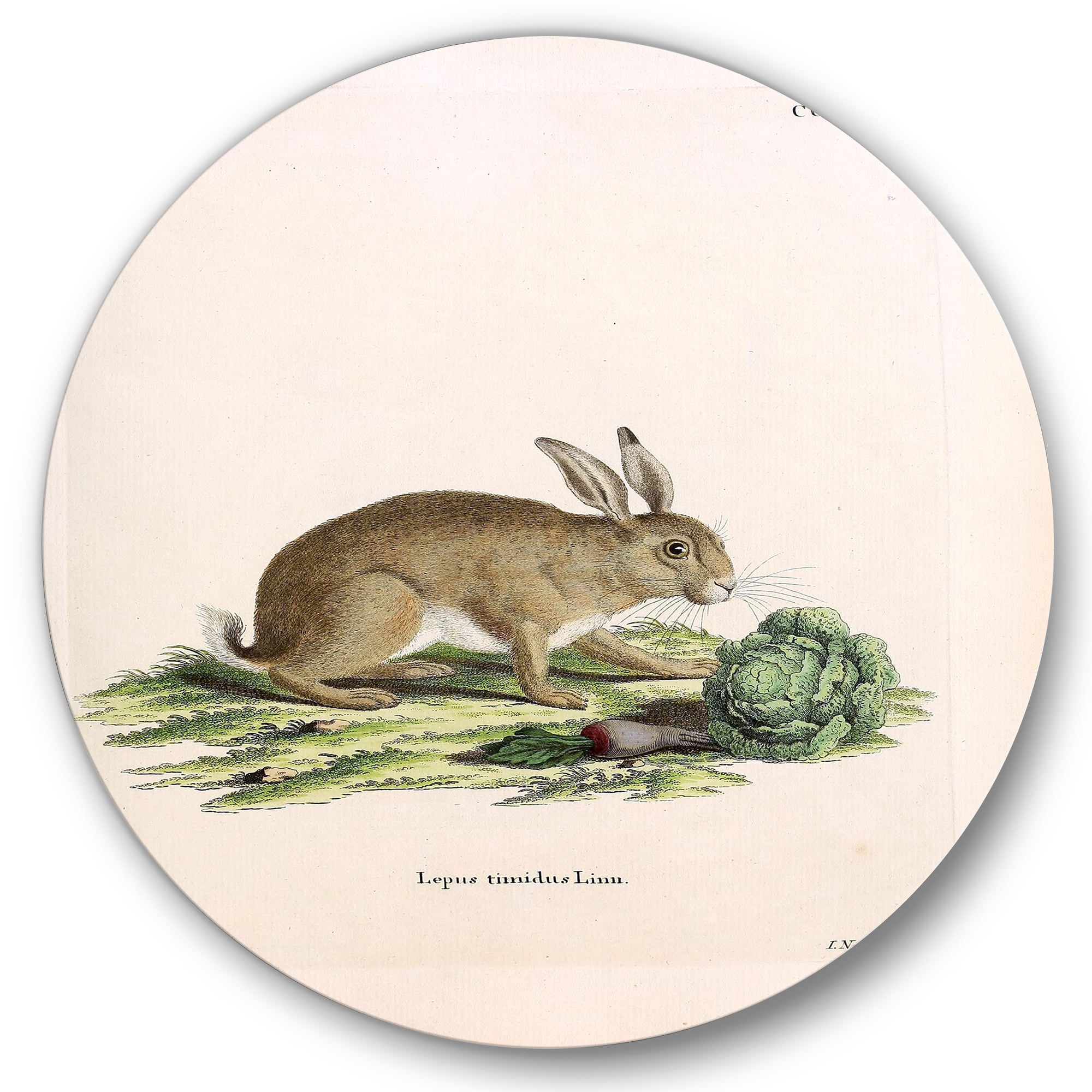 Designart 'Ancient Rabbits In Earth Tones' Farmhouse Circle Metal Wall Art 36x36 - Disc of 36
