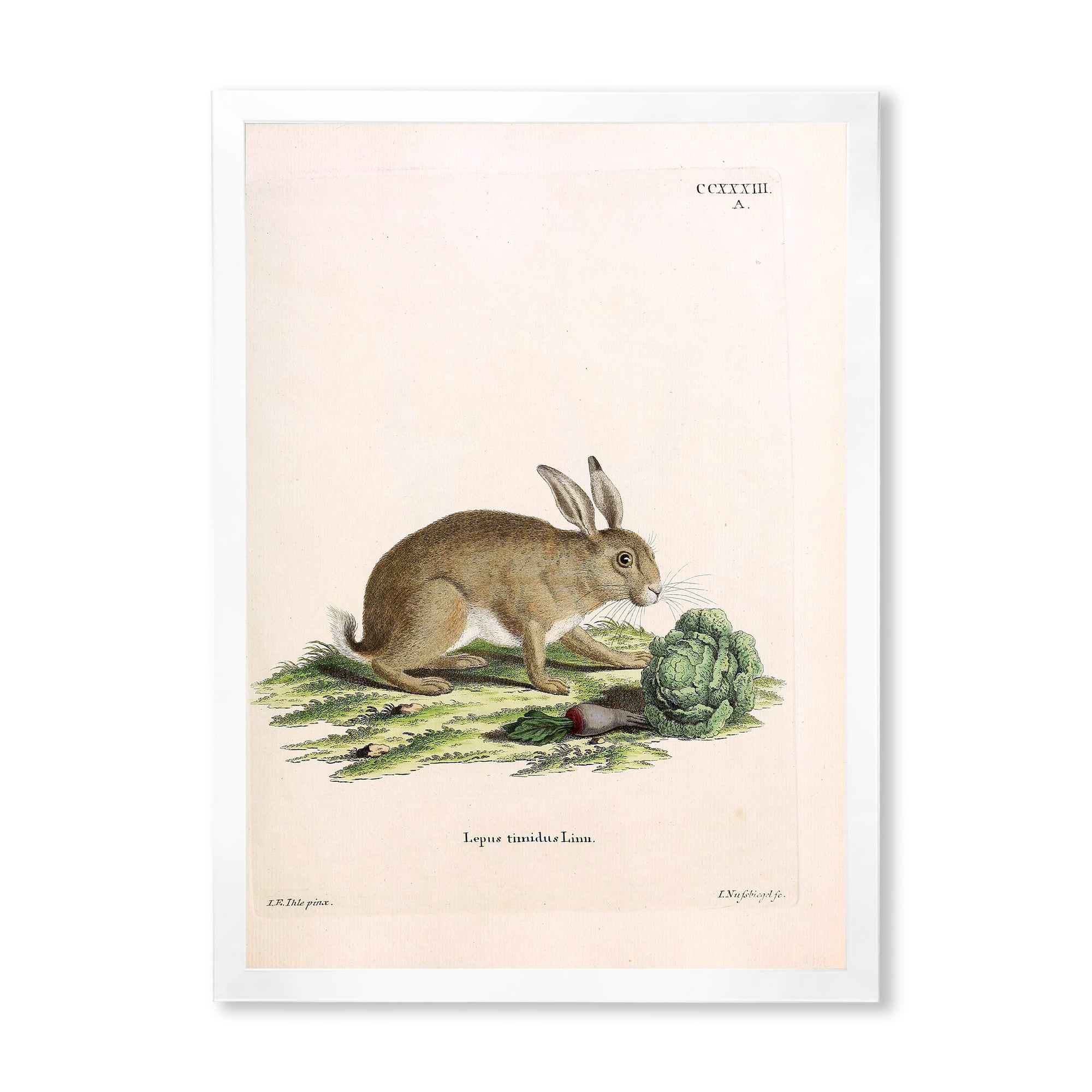 Designart 'Ancient Rabbits In Earth Tones' Farmhouse Framed Art Print