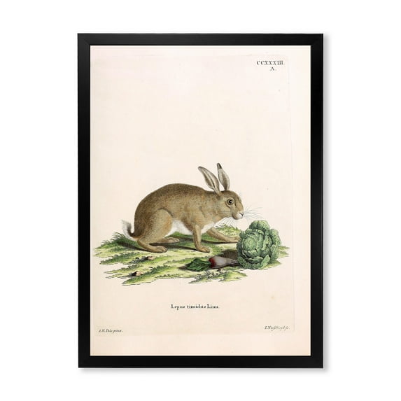 Designart 'Ancient Rabbits In Earth Tones' Farmhouse Framed Art Print