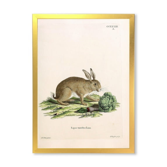 Designart 'Ancient Rabbits In Earth Tones' Farmhouse Framed Art Print