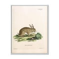 thumbnail image 1 of Designart 'Ancient Rabbits In Earth Tones' Farmhouse Framed Canvas Wall Art Print, 1 of 5