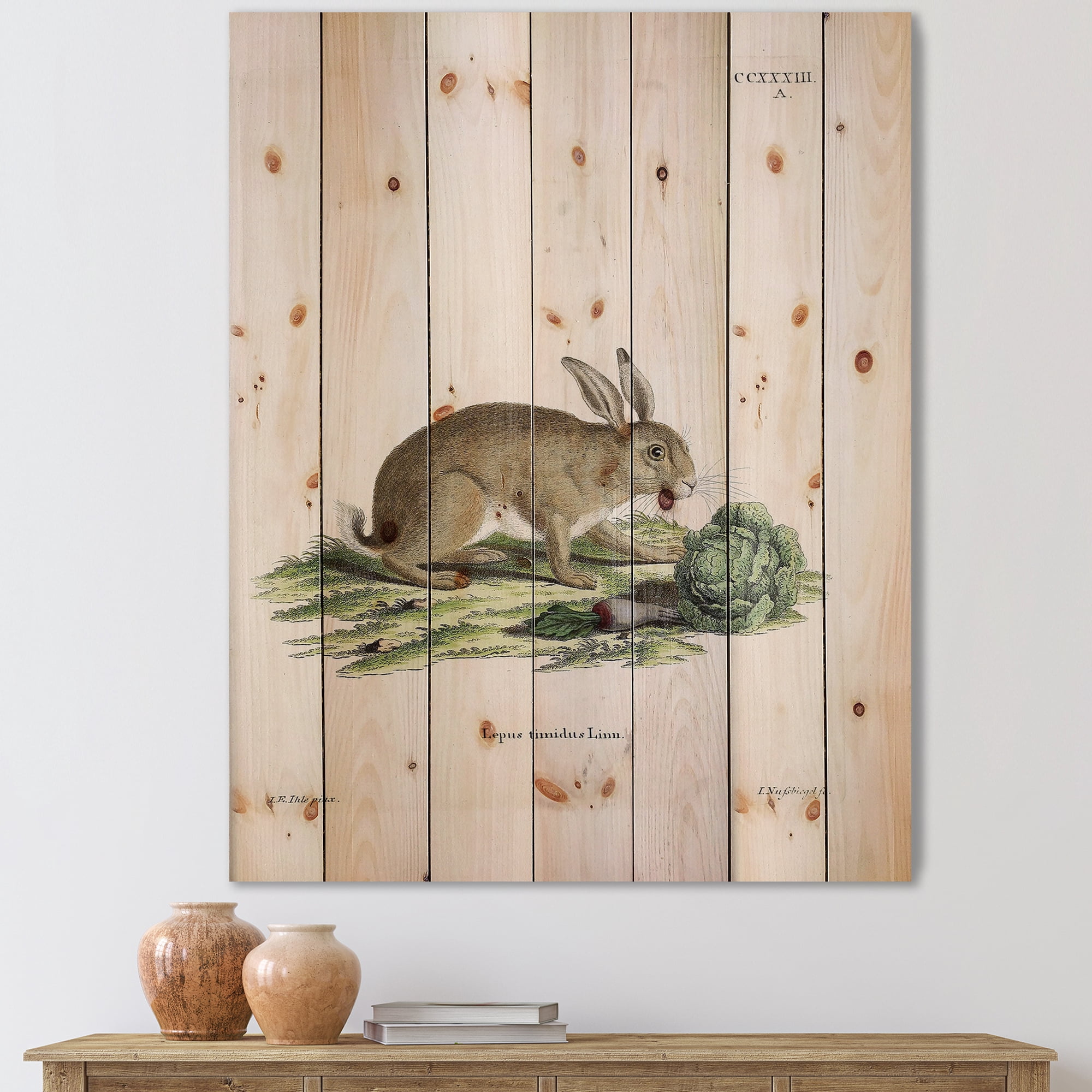 Designart 'Ancient Rabbits In Earth Tones' Farmhouse Print on Natural Pine Wood