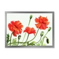 thumbnail image 1 of Designart 'Ancient Red Poppies III' Traditional Framed Art Print, 1 of 4